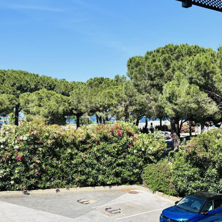 Appartement au Port d'Argelès, aperçu mer - FR-1-309-584 - Appartement - 11