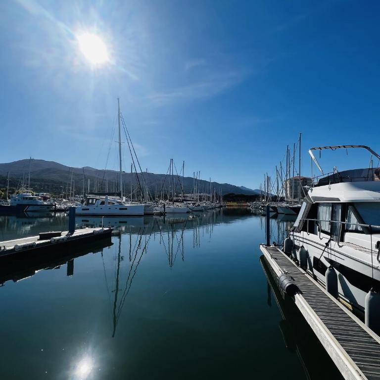 Appartement au Port d'Argelès, aperçu mer - FR-1-309-584 - Appartement - 12
