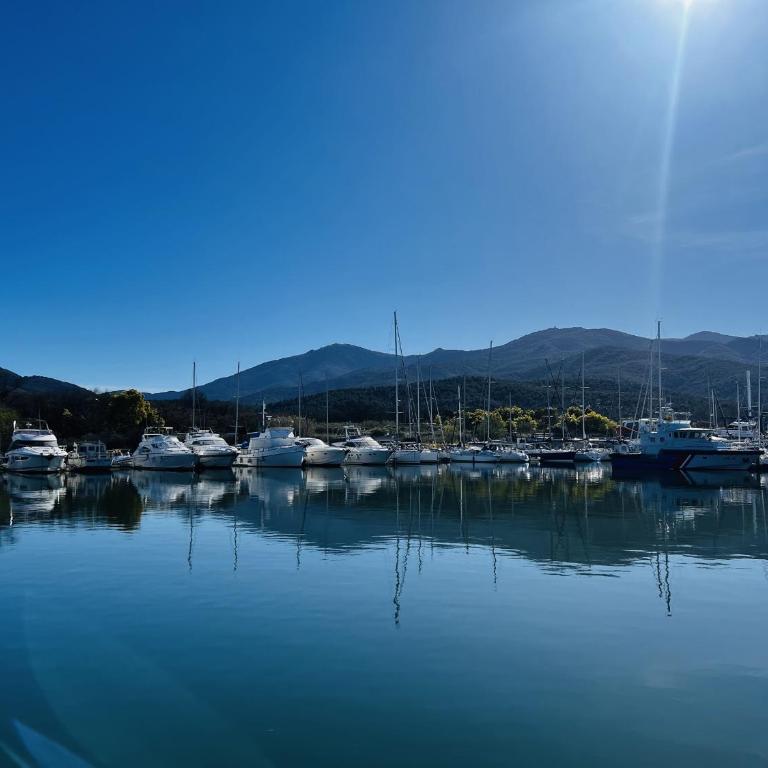 Appartement au Port d'Argelès, aperçu mer - FR-1-309-584 - Appartement - 14
