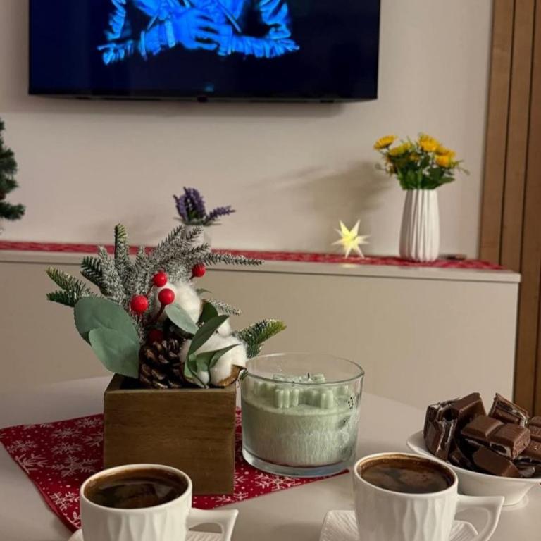 Apartman Srebrna pahulja S57 - Apartman sa 1 Spavaćom Sobom - 13