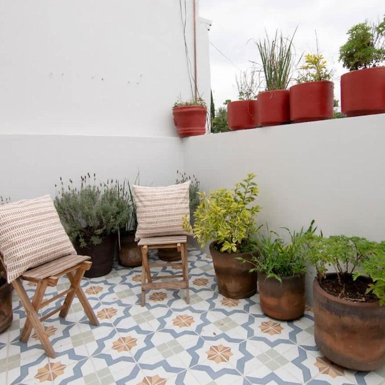 Fantastic House 6BR Patio & Terrace Roma Norte - Apartamento - 50