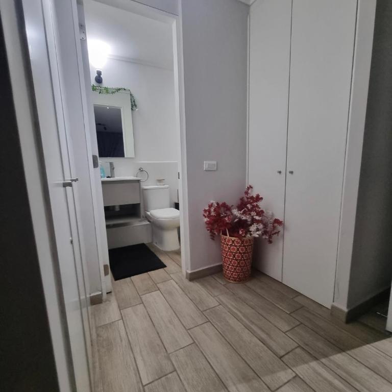 La emoción del Movistar y el descanso en un acogedor departamento - Apartamento de 1 dormitorio - 3