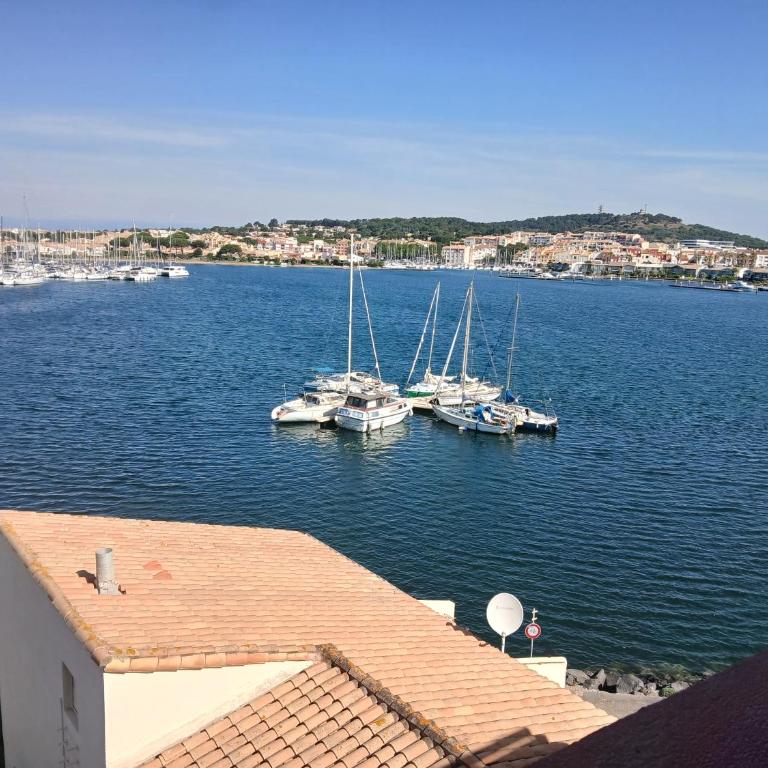 Larche de Noe Vue sur port - Studio avec Balcon - 15