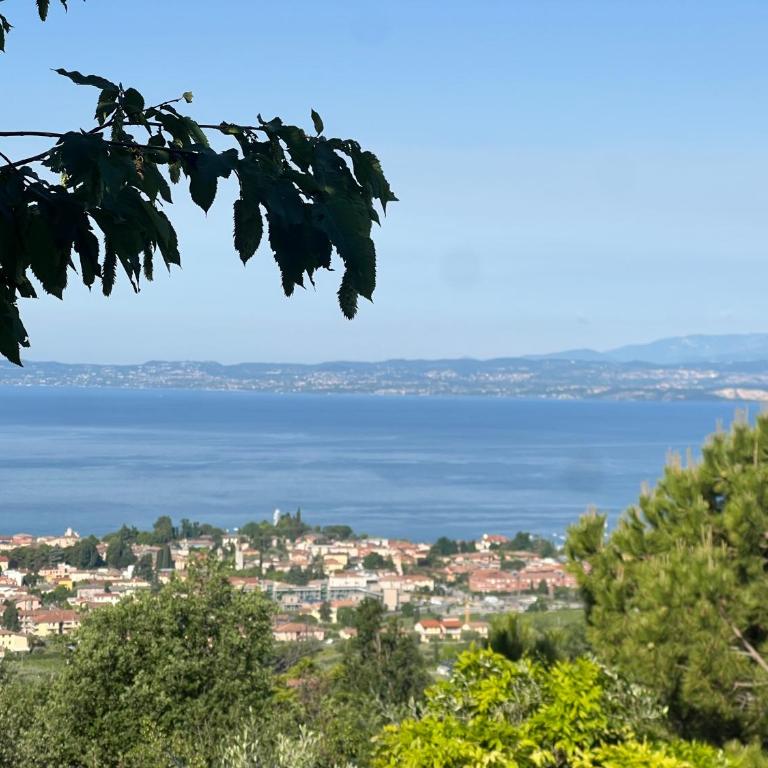 Apartments- Villa Belvedere - Appartamento con Vista Lago - 9