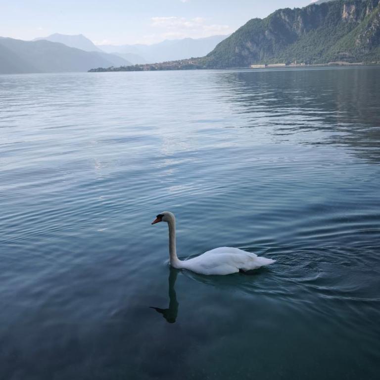 Al Piccolo Pontile Como lake - Casa con 2 Camere da Letto - 2