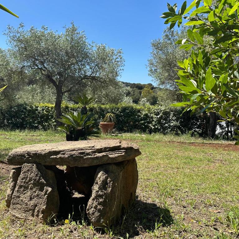 Luvara - Double Room - 13