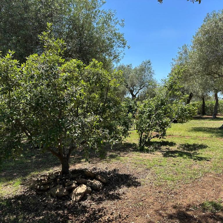 Luvara - Double Room - 11