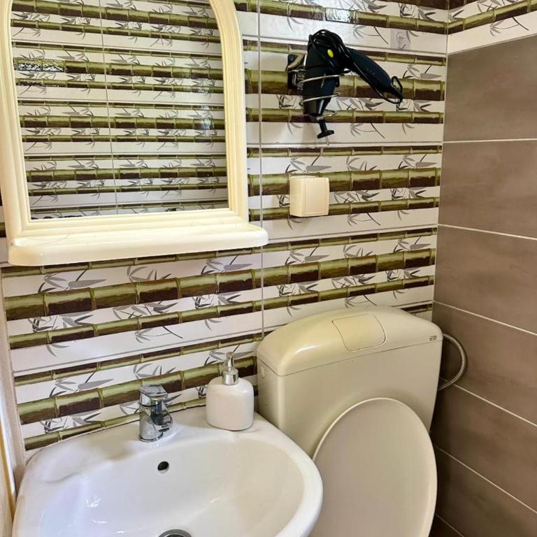 Apartments Tijana - Standardni Studio - 7