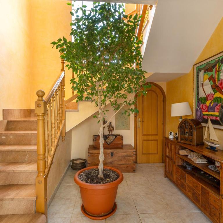 Villa las Terrenas - Casa - 24