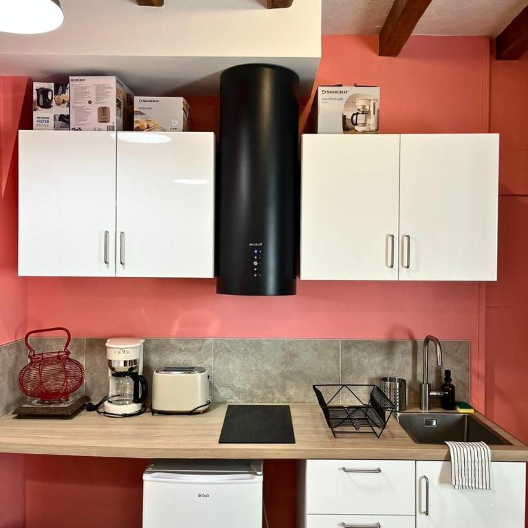 Le Rosé de Loire - Studio - Parking - Studio - 4