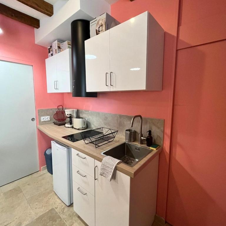 Le Rosé de Loire - Studio - Parking - Studio - 12