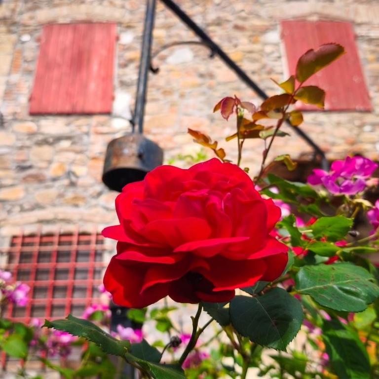 La Tana - Il Tuo Rifugio a Lucca in Una Storica Casa Toscana - Casa con 4 camere da letto - 55