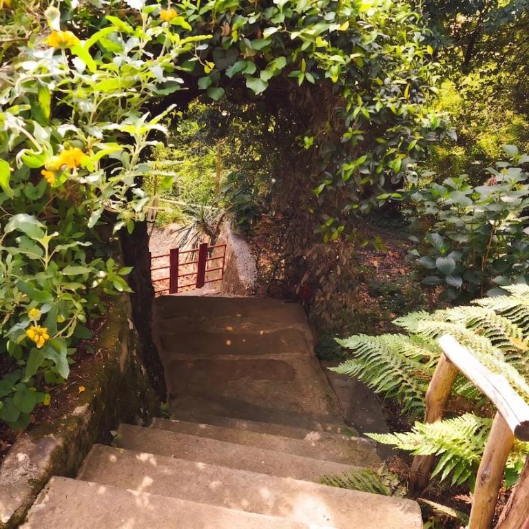 La Tana - Il Tuo Rifugio a Lucca in Una Storica Casa Toscana - Casa con 4 camere da letto - 51