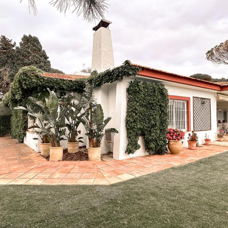 Casa Sol de Mar - Villa - 12