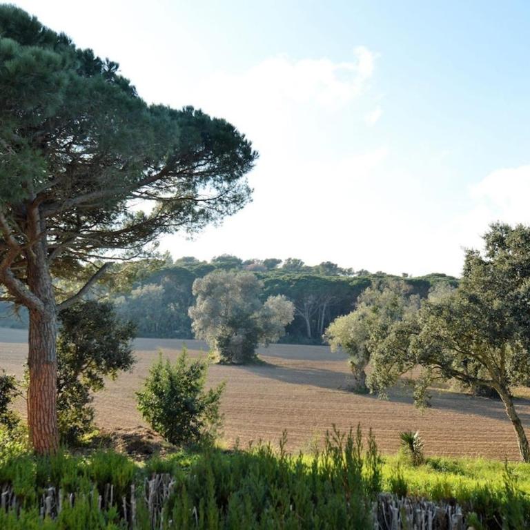 Calella de Palafrugell, Costa Brava - One-Bedroom Premium Apartment - 17