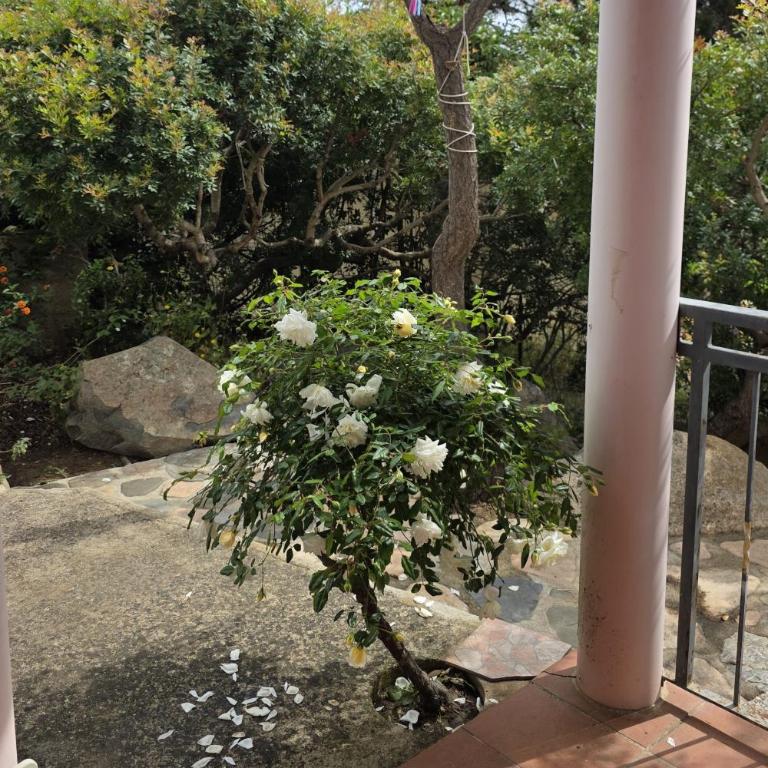 Due matrimoniali con bellissima vista mare a Costa Rei - Casa con 2 Camere da Letto - 10