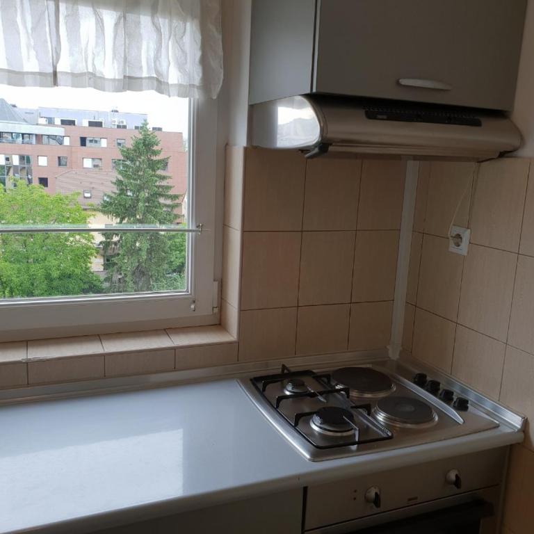Apt Andjela - Apartman sa 1 Spavaćom Sobom - 9