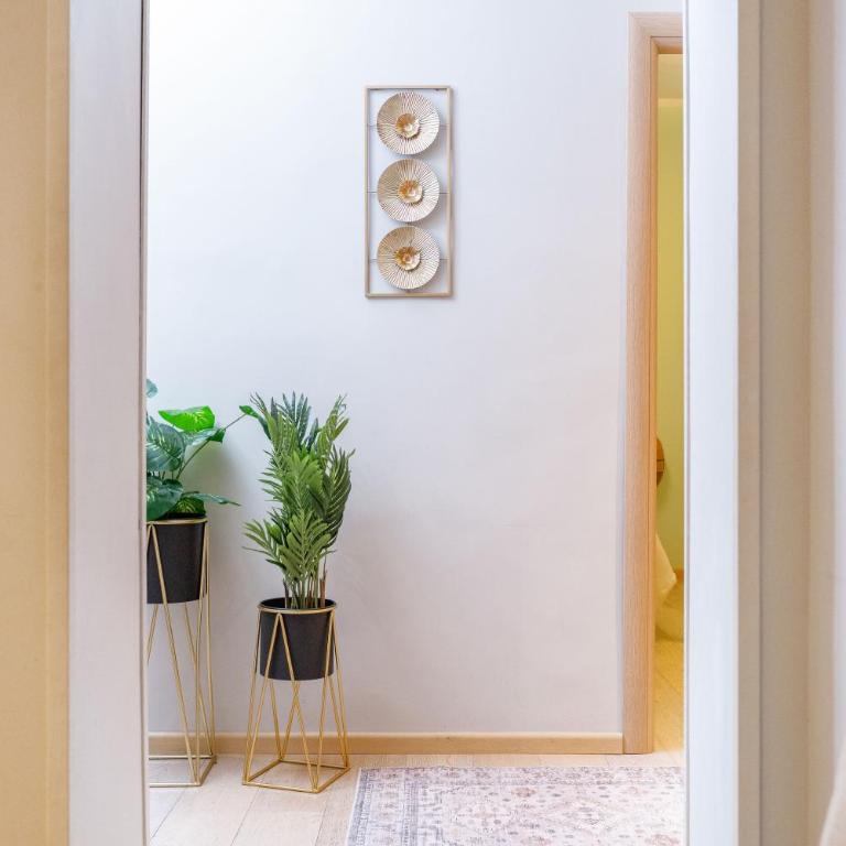 DnG House - Vatican 80 square - Standard Apartment mit 2 Schlafzimmern - 13