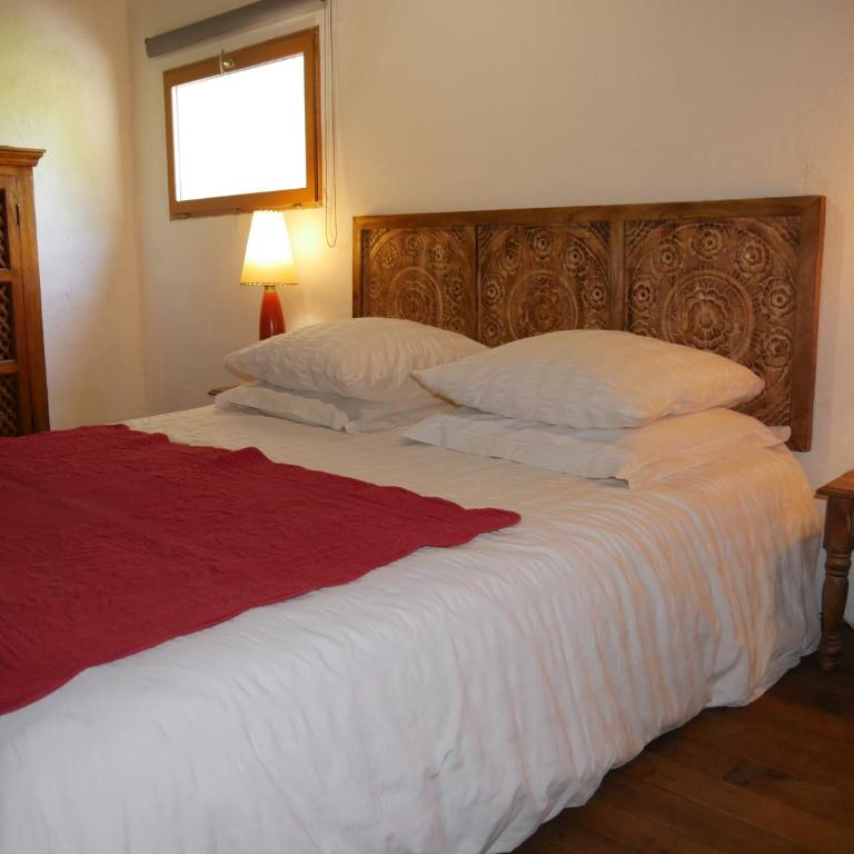 Domaine de Livière-Haute Narbonne - Maison 4 Chambres - 26