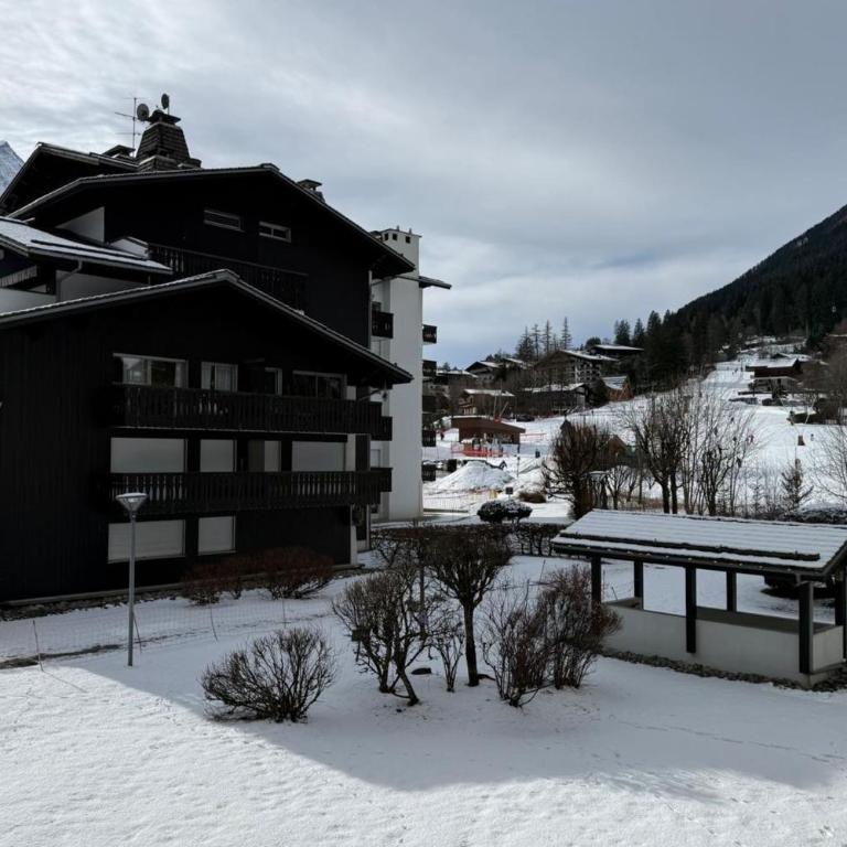 Renovated flat with Mont Blanc's view Parking - Appartamento - 21