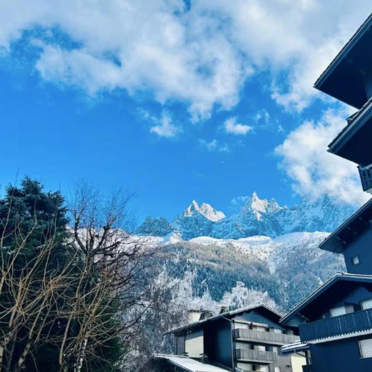 Renovated flat with Mont Blanc's view Parking - Appartamento - 45