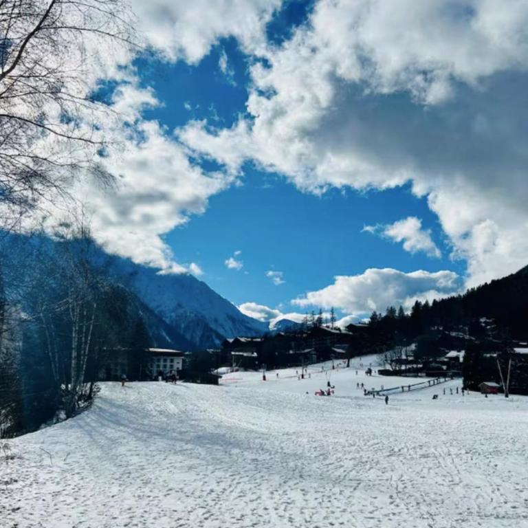 Renovated flat with Mont Blanc's view Parking - Appartamento - 46