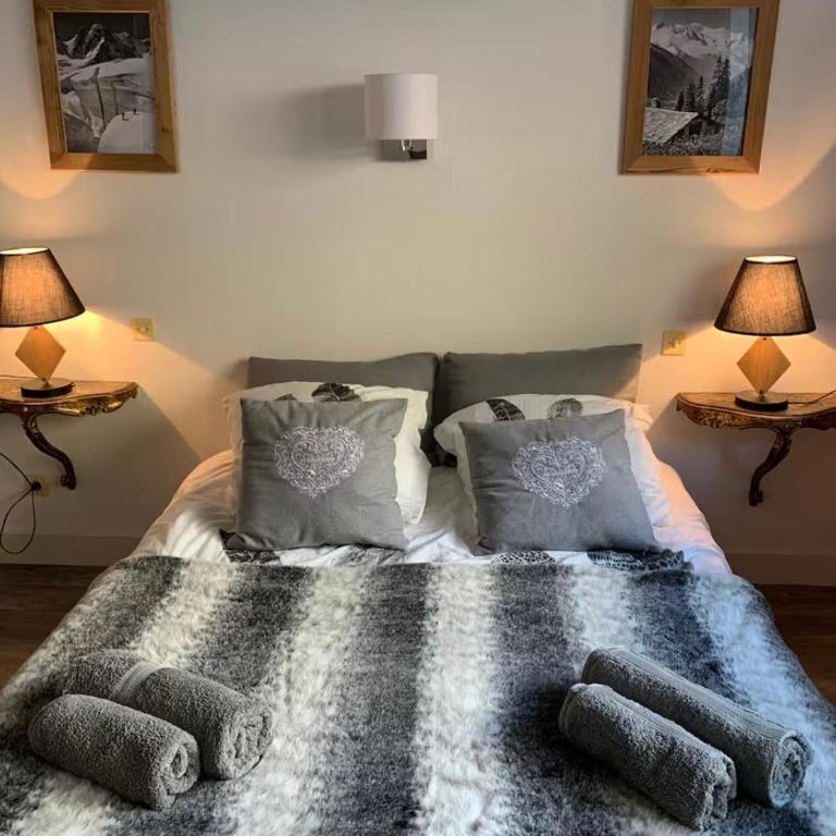 Superbe T3- Vue Mont-Blanc- Au pied du Brévent- Chamonix - Appartement 2 Chambres - 5