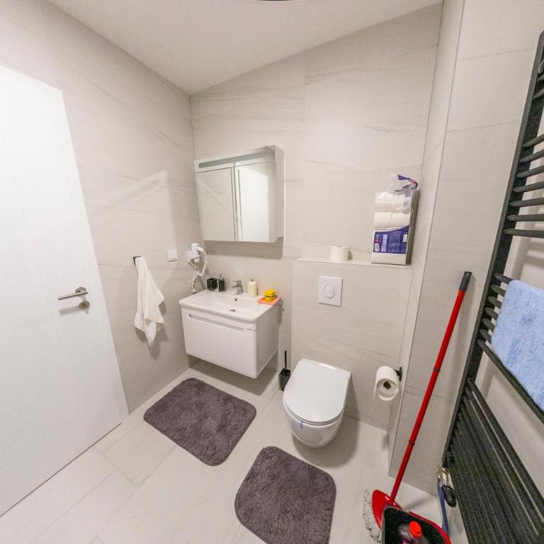 Apartman A&E - Two-Bedroom Apartment - 11