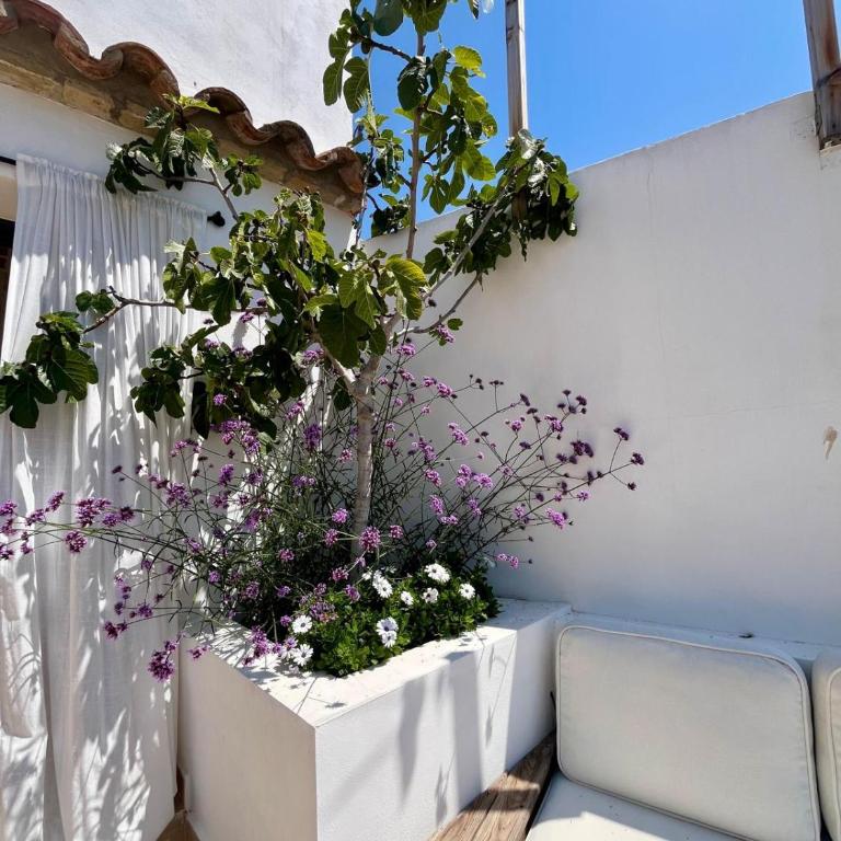 HUGE Whole House Old Town Sitges - Maison 6 Chambres - 40