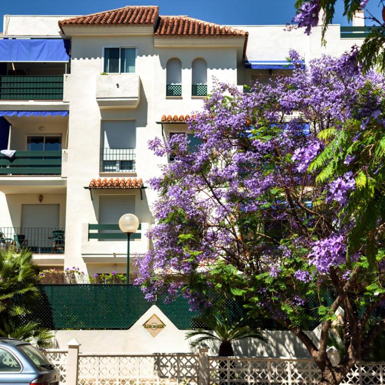 Brisa de Banús by Lica Homes - Apartment - Ground Floor - 25