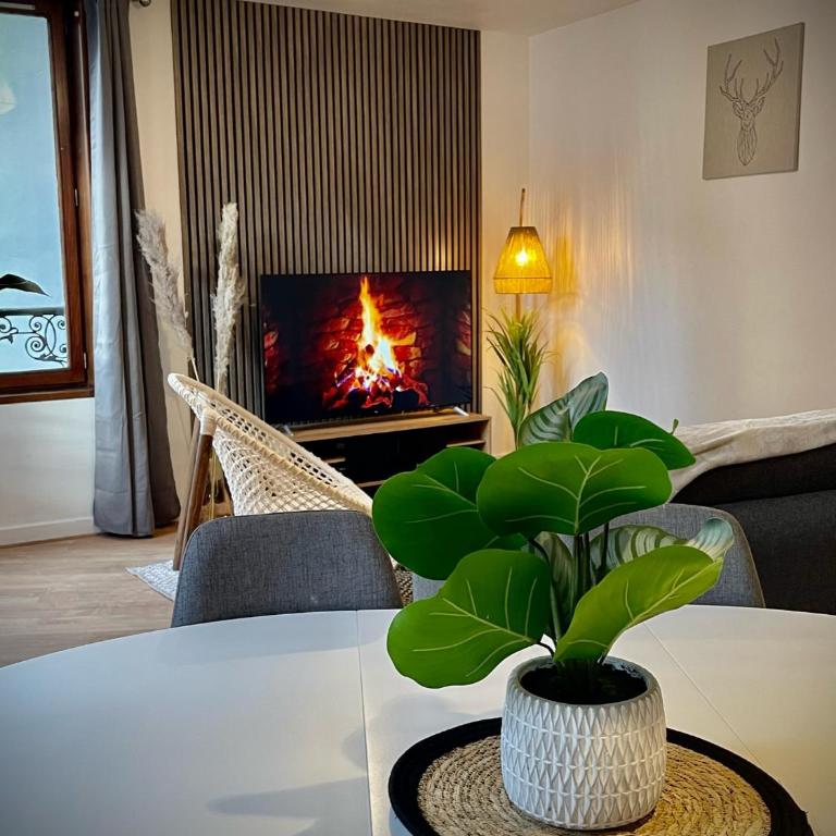 En plein coeur de Clermont-Fd - Appartement 3 Chambres Premium - 2