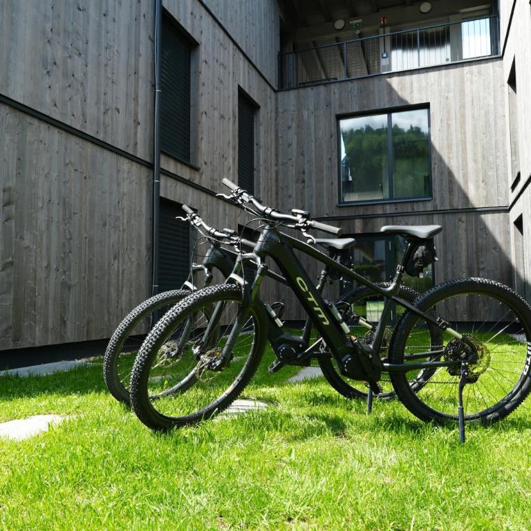 Alpenlodge Haus - Summer resort with Schladming-Dachstein Card - Apartment mit 2 Schlafzimmern - 6