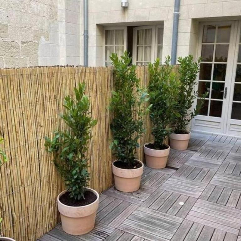 duplex au coeur de ville - les Halles - théatres - Apartment mit 2 Schlafzimmern - 2