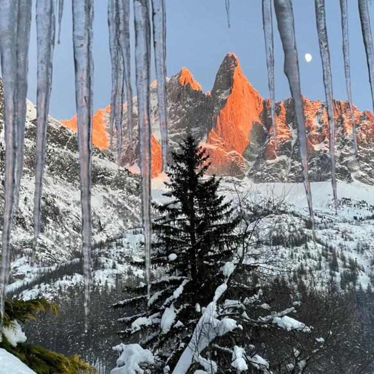 Chalet 11 pers Panorama Mont-Blanc - Chalet - 35
