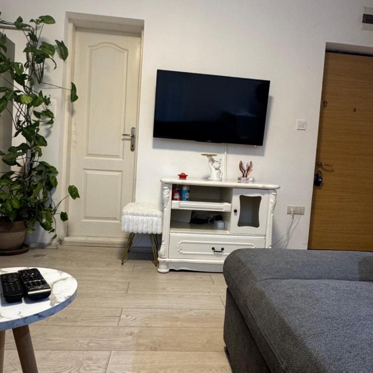 Apartman Viktorija - One-Bedroom Apartment - 8