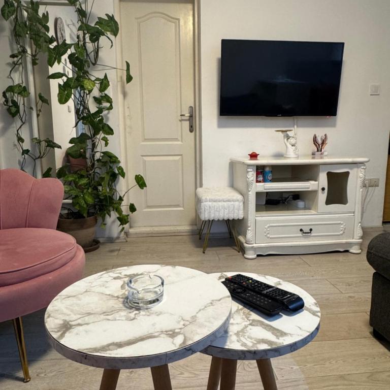 Apartman Viktorija - One-Bedroom Apartment - 13