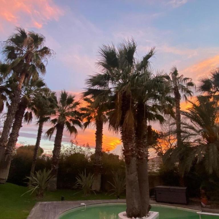 Villa Summer Wind - Palm Beach Agathois - Villa - 60
