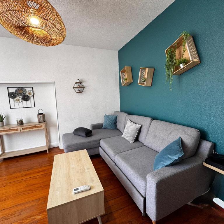 Le Rouy T3 Settimmo à Lourdes - Appartement - 1
