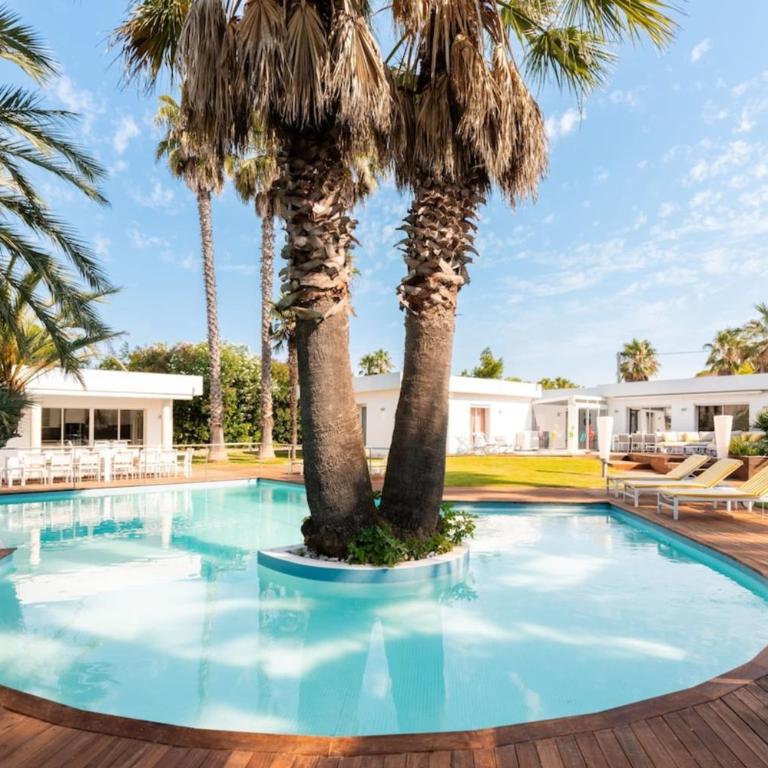 Villa Summer Wind - Palm Beach Agathois - Villa - 10