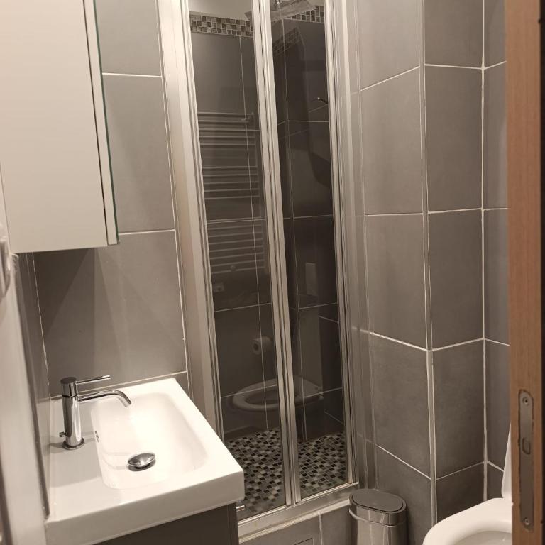 Grand appartement - La republique - Appartement - 16
