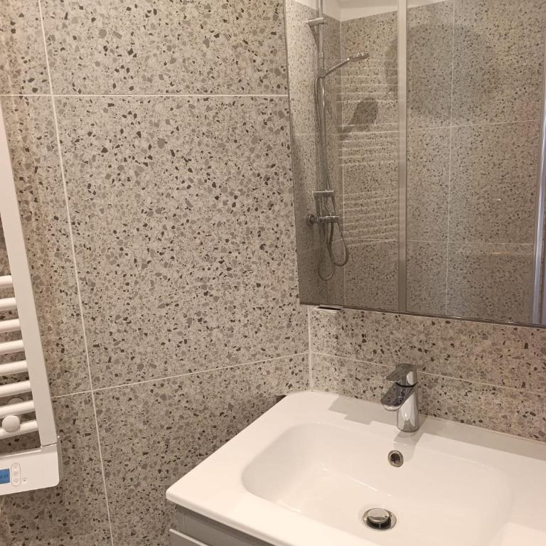 Grand appartement - La republique - Appartement - 15