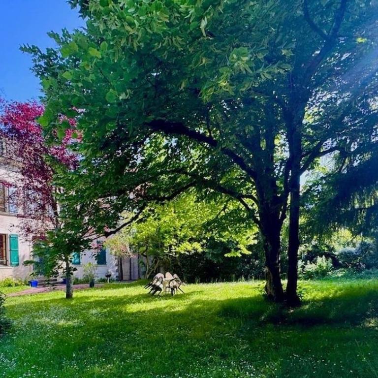 Le Manoir Mermoz - Peaceful haven in Rennes - Appartamento con 1 Camera da Letto - 1