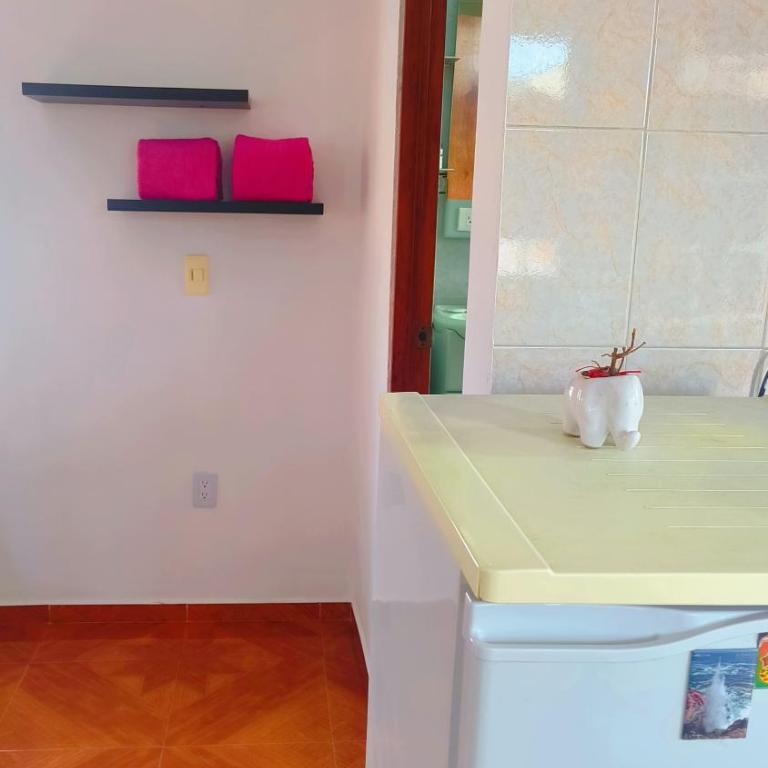 Estadio GNP and Airport AICM - Apartamento de 1 dormitorio - 11