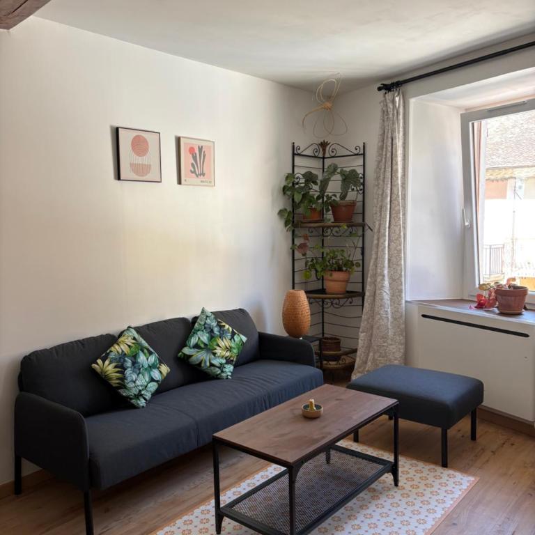 Le Nidou - Appartement 1 Chambre - 7
