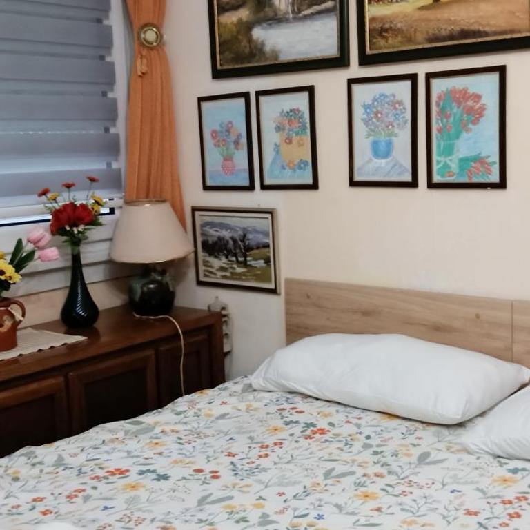 Rajka - Apartman sa 2 Spavaće Sobe - 6