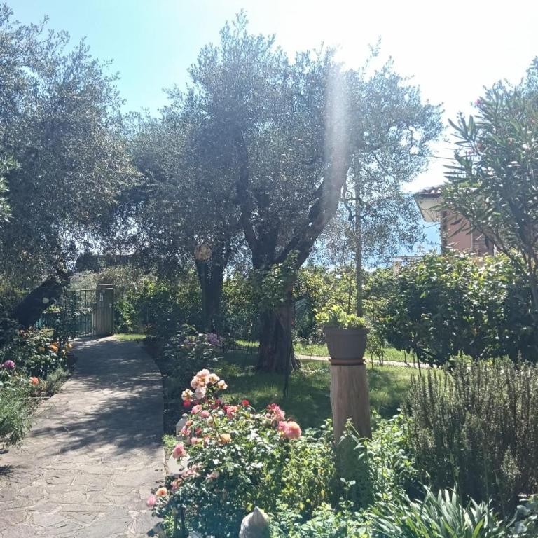 Rosa e Lavanda - Appartamento con Vista e Balcone - 16