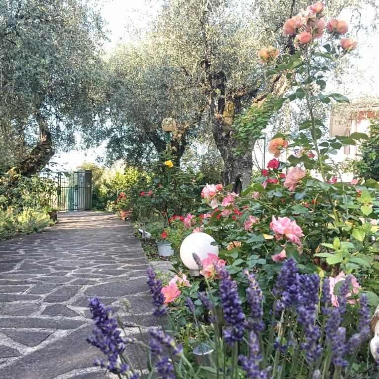 Rosa e Lavanda - Appartamento con Vista e Balcone - 19