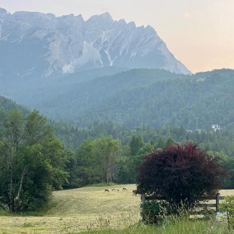 Al Pomer Dolomites Lodges Val di Zoldo - Appartamento con 2 Camere da Letto - 14