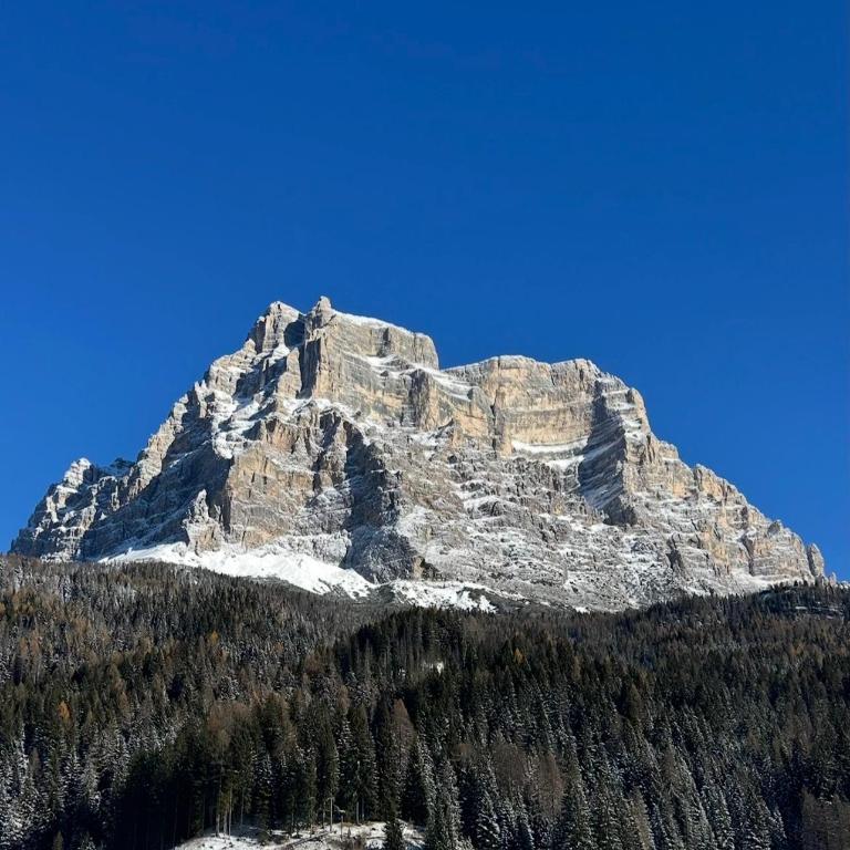 Al Pomer Dolomites Lodges Val di Zoldo - Appartamento con 2 Camere da Letto - 18
