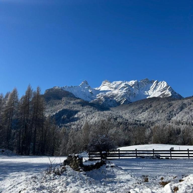 Al Pomer Dolomites Lodges Val di Zoldo - Appartamento con 2 Camere da Letto - 20